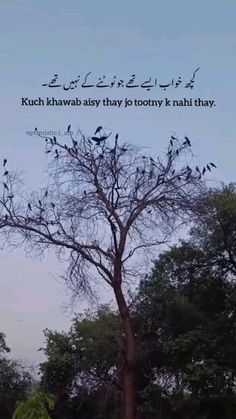 birds sitting on top of a tree in front of a blue sky with an arabic quote