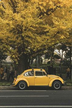 a yellow car is parked on the side of the road in front of a tree