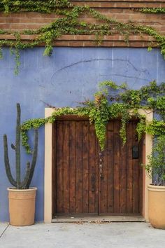 two large potted plants next to a wooden door