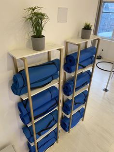 two shelving units with blue towels and plants