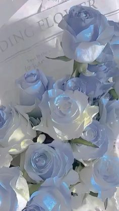 a bouquet of white roses sitting on top of a table