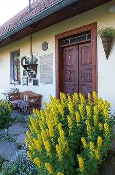 yellow flowers in front of a white house with wooden door and window frames on the side