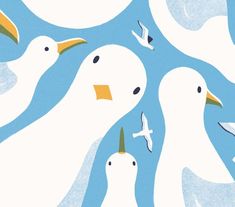 three white ducks floating in the water with seagulls flying around them on a blue and white background