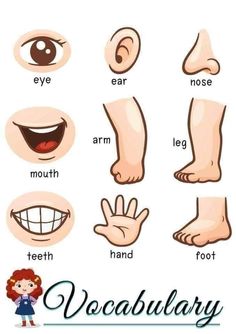 an image of different types of feet and hands for children to learn how to read