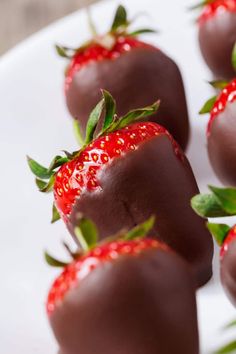 chocolate covered strawberries on a white plate