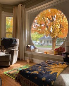 a living room filled with furniture and a large window covered in fall leaves, looking out onto the yard