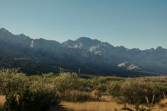 the mountains are in the distance with trees and bushes on the foreground, near an arid area