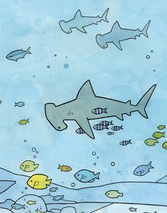 a drawing of a shark swimming in the ocean with many fish around it and under water