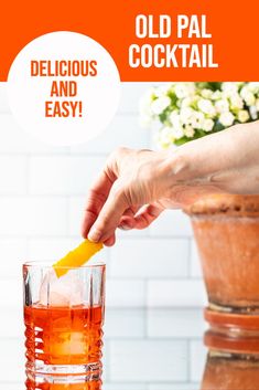 Rye Whiskey Cocktail, Easy Summer Cocktails, Whiskey Cocktail, Thanksgiving Cocktails, Liqueurs Recipes, Dry Vermouth, Fruity Cocktails, Bourbon Cocktails