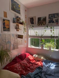 an unmade bed in a small room with pictures on the wall and plants hanging above it