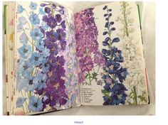 an open book with purple and blue flowers