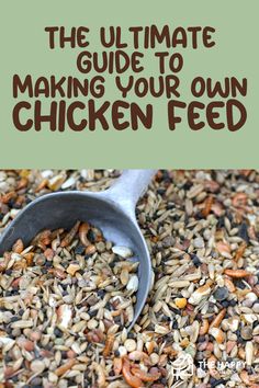 the ultimate guide to making your own chicken feed