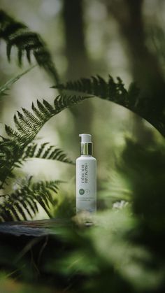 a bottle of lotion sitting on top of a table next to some plants and trees