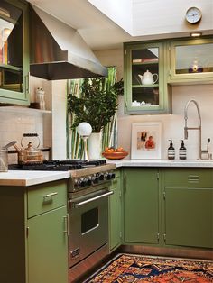 Decorate Kitchen, Kabinet Dapur, Green Cabinets, Green Kitchen, Dakota Johnson, Design Case, Dream Home Design