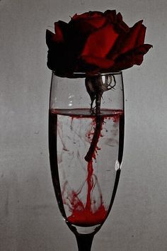 a rose in a wine glass filled with water