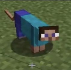 an image of a minecraft character walking in the grass