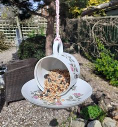 a bird feeder hanging from a tree outside