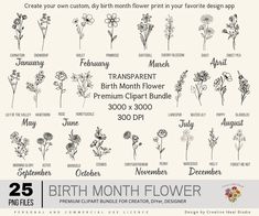 the birth month flower font and numbers are shown in black on white, as well as flowers