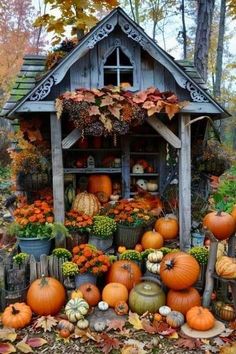 pumpkins and gourds are arranged in front of a small shed with autumn foliage