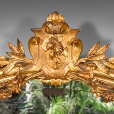 an ornate gold mirror with leaves and flowers on the frame, in front of a green plant