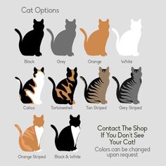 the different types of cats are shown in this poster