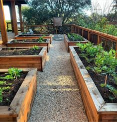 an outdoor garden with wooden benches and plants