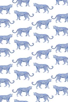 Cheetahs Traditional Wallpaper Wallpaper Light Blue / Double Roll Katie Kime Wallpaper, Cheetah Wallpaper, Katie Kime, Wallpaper Colorful, Preppy Wallpaper, Pinturas Disney, Cheetahs, Peel Stick Wallpaper, White Backdrop