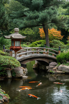 Japanese garden, koi pond, stone bridge, tranquil setting, stone lantern, pine trees, autumn foliage, zen landscape, garden tranquility, koi carp, water reflection, peaceful garden, Japanese landscaping, cultural garden design, nature scene, ornamental fish, lush greenery, serene nature, outdoor beauty, harmony. Fish Pond With Bridge, Japanese Bridge Garden, Garden Pond With Bridge, Koi Pond Bridge, Japanese Fish Pond, Garden Pond Bridge, Japanese Garden With Koi Pond, Japanese Garden Bridge Ideas, Koi Pond With Bridge