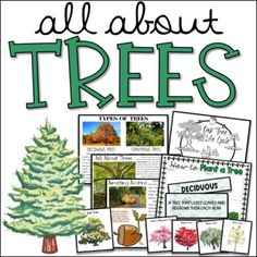 an all about trees poster with pictures on it