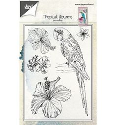 a stamp that has flowers and birds on it, with the words tropical flowers written in white