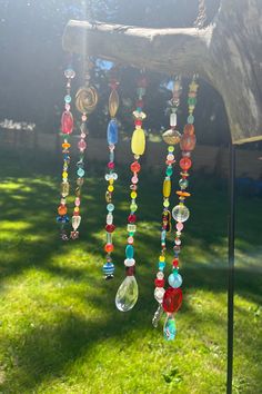 a wind chime hanging from a tree branch in the grass with sun shining on it