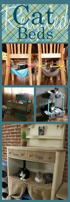 the cover of an article with pictures of furniture and cats on it, including a cat bed