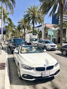 cars are parked on the side of the road near palm trees and parking meters in front of buildings