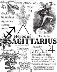 the herbs of sagittarius poster with an image of some plants and their names