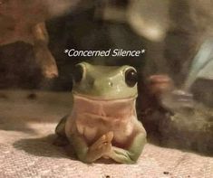 a small frog sitting on top of a table next to a glass window with the caption concerned science