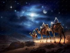 three people riding camels in the desert at night