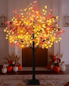 a lighted tree with lots of leaves on it