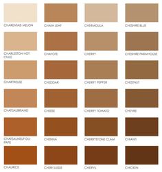 the different shades of brown and neutrals in each color, from light to dark