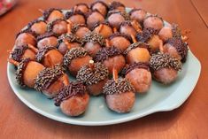 a plate full of chocolate covered donuts with sprinkles on them sitting on a table