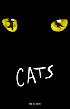 a black cat with yellow eyes and the words cats