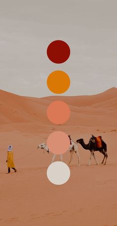 two camels walking in the desert with three circles above them and a man standing next to it