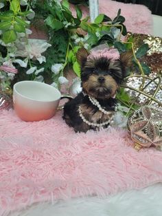 a small dog sitting on top of a pink rug next to a vase with flowers