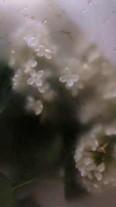 white flowers are seen through the raindrops on a window