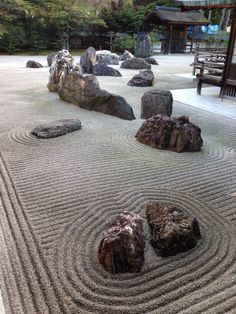 some rocks and trees in a rock garden