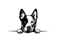 a black and white drawing of a dog peeking out from behind the edge of a wall