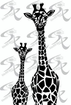 two giraffes standing next to each other in front of a white background