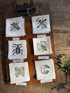 four different types of bugs on white linen napkins, with flowers in the background