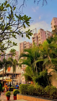 people are walking down the sidewalk in front of some tall buildings and palm trees on a sunny day