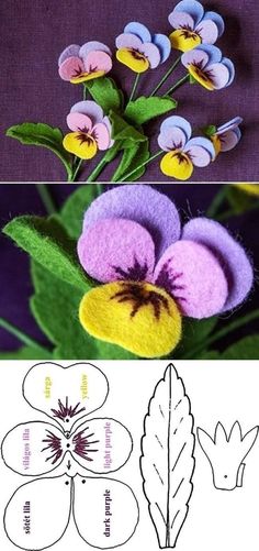 three different pictures with flowers and leaves in the middle one has purple, yellow and white petals