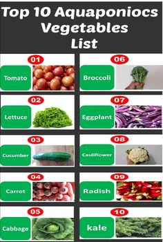 the top 10 aquaponics vegetables list